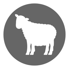 Ewe icon. Vector.