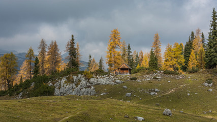 Mountain wooden huts in Styrian Alps on sunlit grass field. Autumn alps with yellow needles on larches.