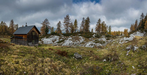 Fototapeta na wymiar Mountain wooden hut in the Styrian Alps. Autumn alps with yellow needles on larches.