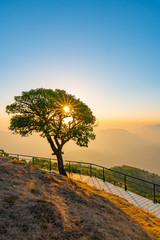 Scenic landscape with Lonely tree and pathway beside the hill at Doi Pui Co view point in Sop Moei, Mae Hong Son Thailand. Autumn landscape with a lonely tree during morning sunrise shine through.