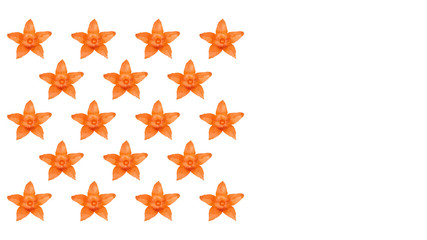 Close up physalis flower pattern background photo