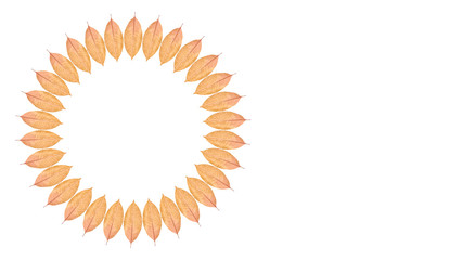 Yellow autumn leaf background, frame and border, copy space photo