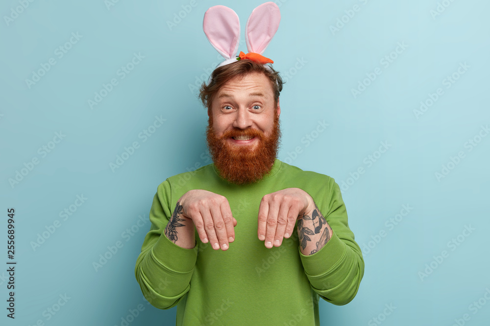 Wall mural funny positve man with ginger beard, haircut, keeps hands as if rabbit, wears soft bunny ears, has f