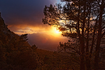 im Tramuntana-Gebirge, Mallorca, Spanien