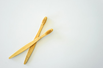 Two wooden toothbrushes