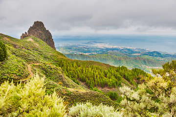 Beautiful mountain landscape with pine forest and view of ocean coast. Spain, Gran Canaria island