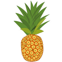 Obraz premium Summer fruits for healthy lifestyle. Pineapple fruit. Vector illustration cartoon flat icon isolated on white.