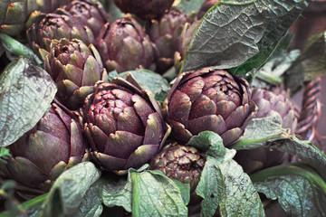 Obraz premium Fresh and ripe raw whole globe artichoke vegetables with leaves covered in dewy raindrops
