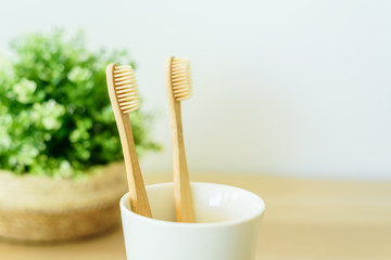 Two wooden toothbrushes