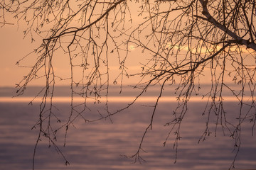 Fototapeta premium Beautiful winter sunset on the river