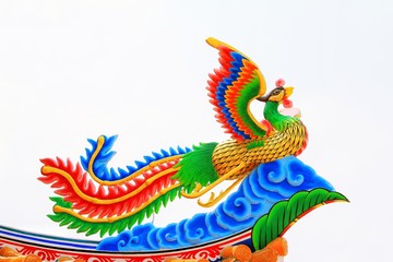 Chinese swan on white background