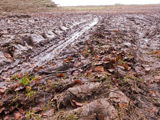 Fototapeta premium Reifenspuren auf einem nassen lehmigen Feldweg zum Acker. Im Hintergrund liegt ein Reisig Haufen.