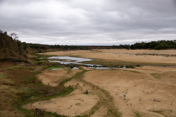 african riverbed