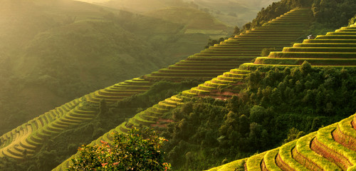 Panorama Mu Cang Chai, landscape terraced rice field near Sapa, north Vietnam