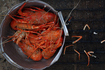 Closeup view of boiled lobster in aluminium pan, in Ambriz market