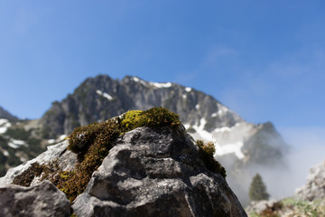 Ein Fels vor einem schneebedeckten Berg