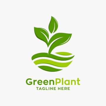 Green plant logo design