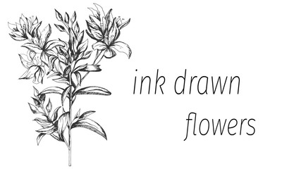 Outline vector flowers. Sketch flower drawn by ink. Contour clipart use design.