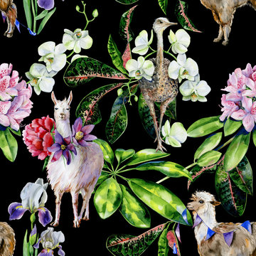 Watercolor seamless pattern of  cartoon alpaca, cute llama and ostrich with orchids, peonies, rhododendron, iris flowers and ribbons. Tropical leaves of schefflera, croton. Use as nursery wallpaper.