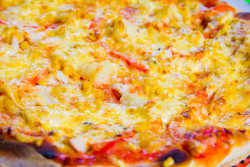 hot tasty fresh pizza on a plate close-up. green background
