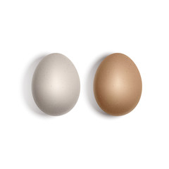 Two vector realistic white and brown eggs. Chicken eggs isolated on white background