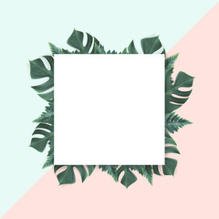 Empty white summer and spring nature on pastel background with green leaves and circle frame for copy space or text creative advertising.