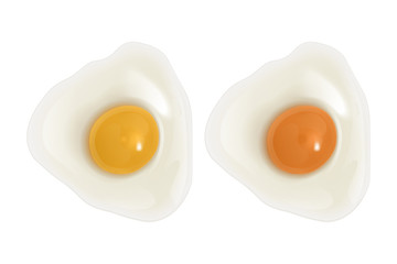 Set of raw eggs on white background, chicken eggs with bright yellow and orange yolks, top view, Realistic vector EPS 10 illustration of bird eggs