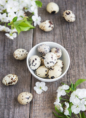Bowl with quail eggs