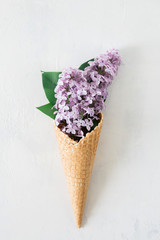 Summer flowers in a waffle cone on a white textural background. Minimalism, top view, flat