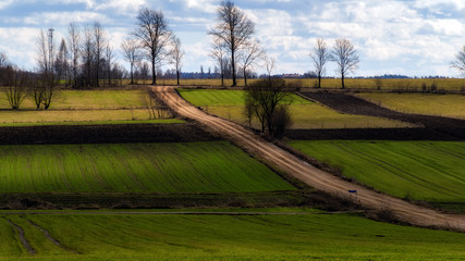 Wiosna na Podlasiu. Podlaskie pola i łąki. Sloneczny dzień  © podlaski49