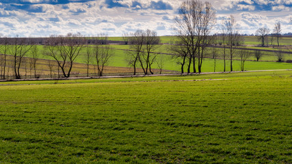 Wiosna na Podlasiu. Podlaskie pola i łąki. Sloneczny dzień  © podlaski49