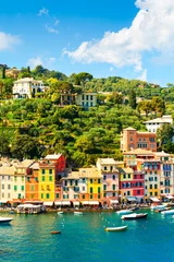 Foto op Plexiglas Beautiful sea coast in Portofino, Italy © smallredgirl