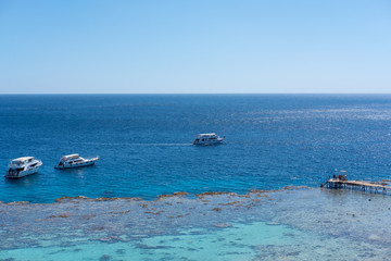 Obraz premium group of people, adults and children, with diving masks and snorkels swimming underwater in sea. White ship and boat on clear sky. Idyllic summer vacation activity