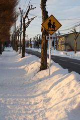 Fototapeta premium 雪道の風景