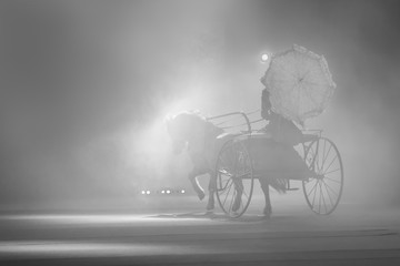 A lady in a vintage dress with a lace umbrella rides in a light horse-drawn carriage. Light smoke...