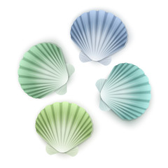 Set of scallop seashells, Vector seashells of cartoon style, illustration isolated on white background