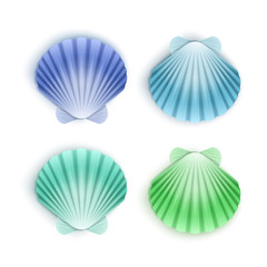 Set of scallop seashells, Vector seashells of cartoon style, illustration isolated on white background