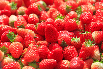 Fresh strawberries, close-up shots