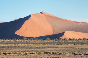 Fototapeta na wymiar Red sand dunes in Namibia