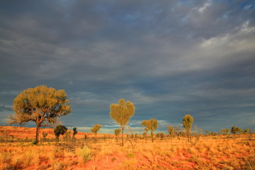 Australian rugged Outback