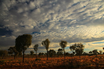 Australian rugged Outback