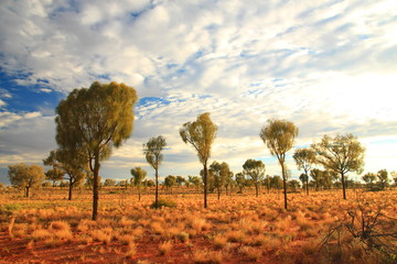 Australian rugged Outback