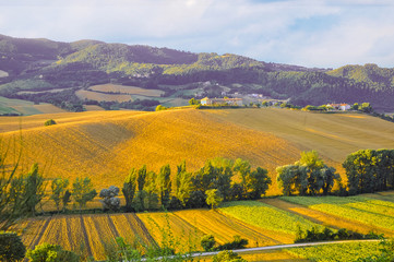 background of landscape at Umbrie in Italy or little Toscana.