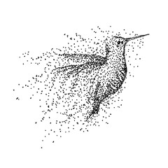 hummingbird particle vector illustration