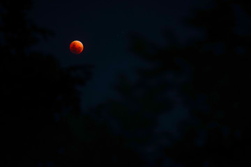 Bloodmoon