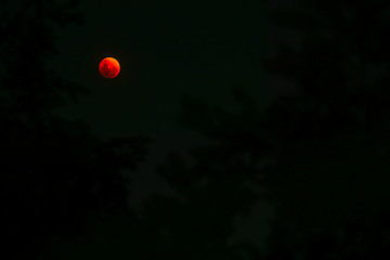 Bloodmoon
