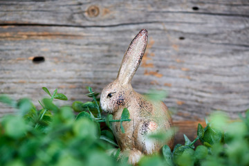 Frohe Ostern Osterhase 