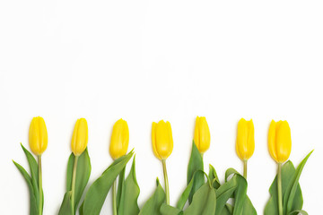 Yellow tulips isolated on white background. Top view. Close-up.