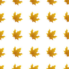 Seamless pattern with autumn leaves on white background, for any occasion