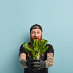 Idoor shot of surprised red haired man holds bok choy in both hands, shocked with low price, has...